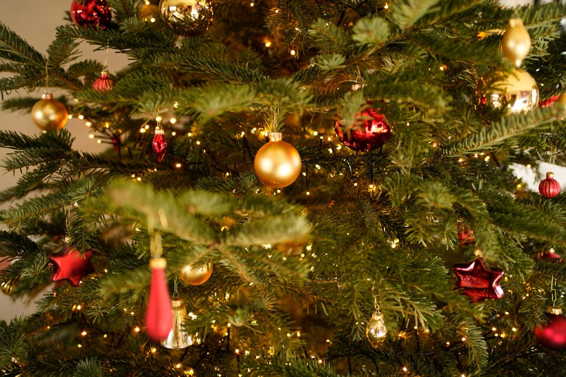 挂着饰品的圣诞树图片