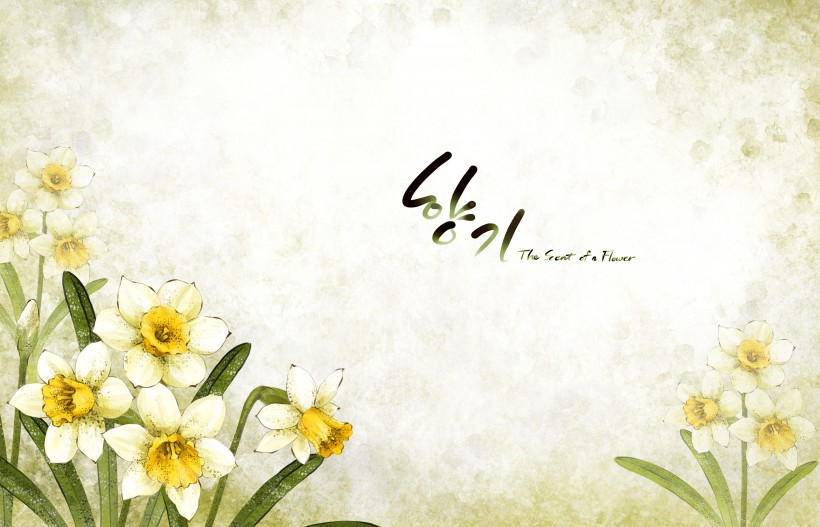 明亮黄色韩国花朵背景图片