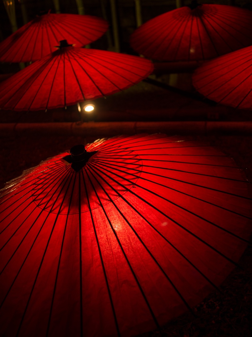 富有艺术感的日本和伞图片