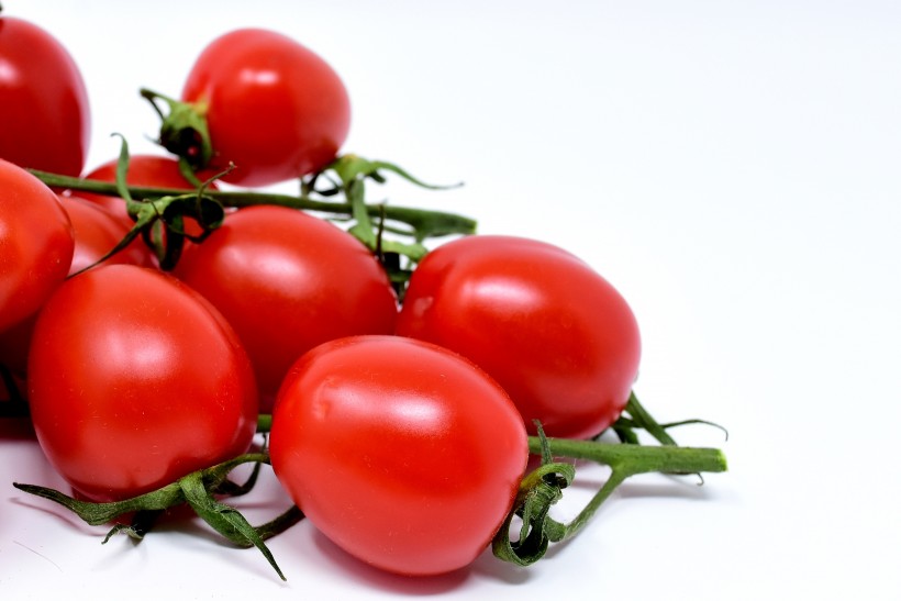 新鲜红色的番茄图片