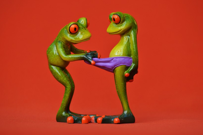 玩具青蛙高清图片
