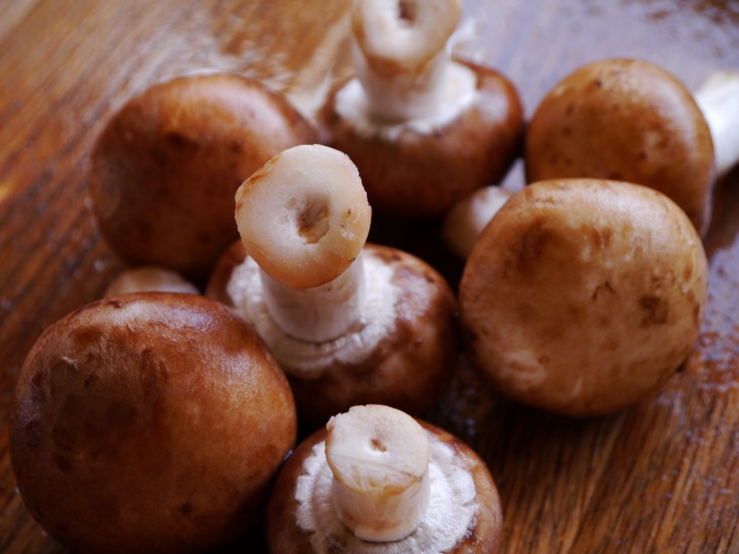 肉质肥厚的香菇图片