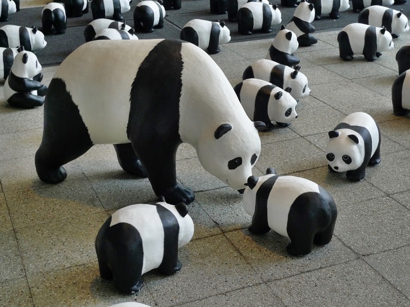 纸糊熊猫展图片