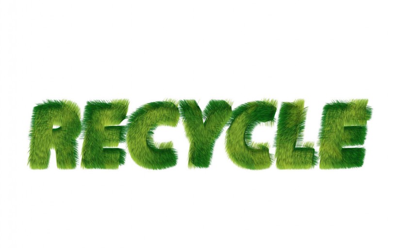 绿色和平环保标志图片