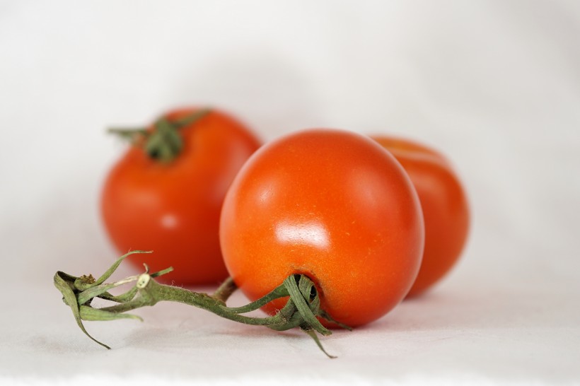 酸甜爽口有营养的番茄图片