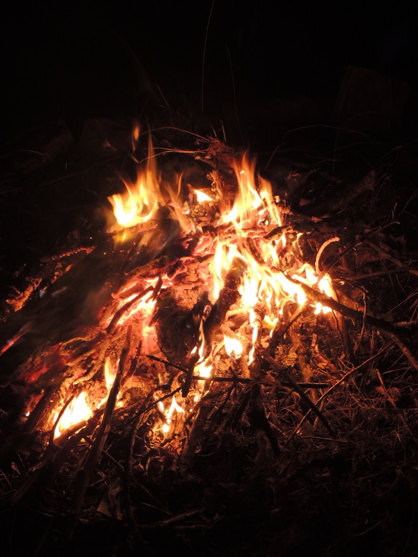 用木材点然的火焰图片