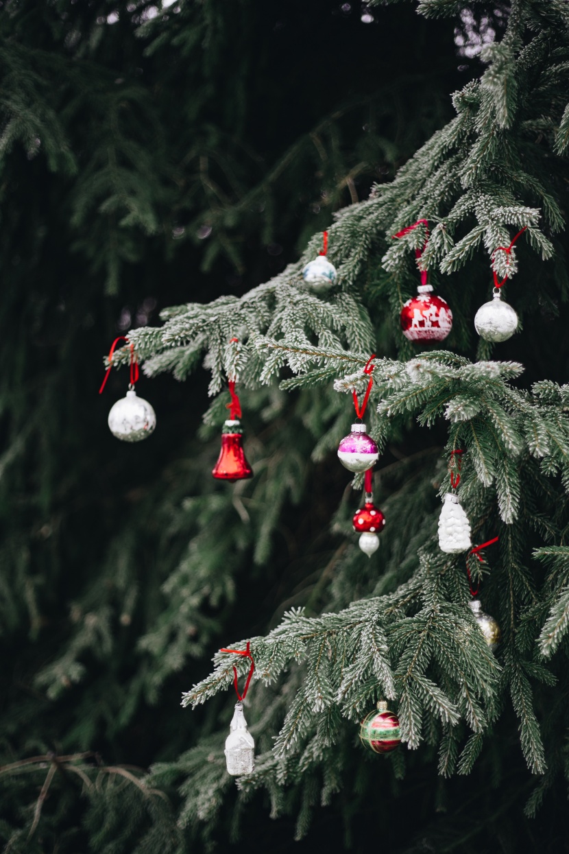 圣诞装饰在树上的挂饰图片