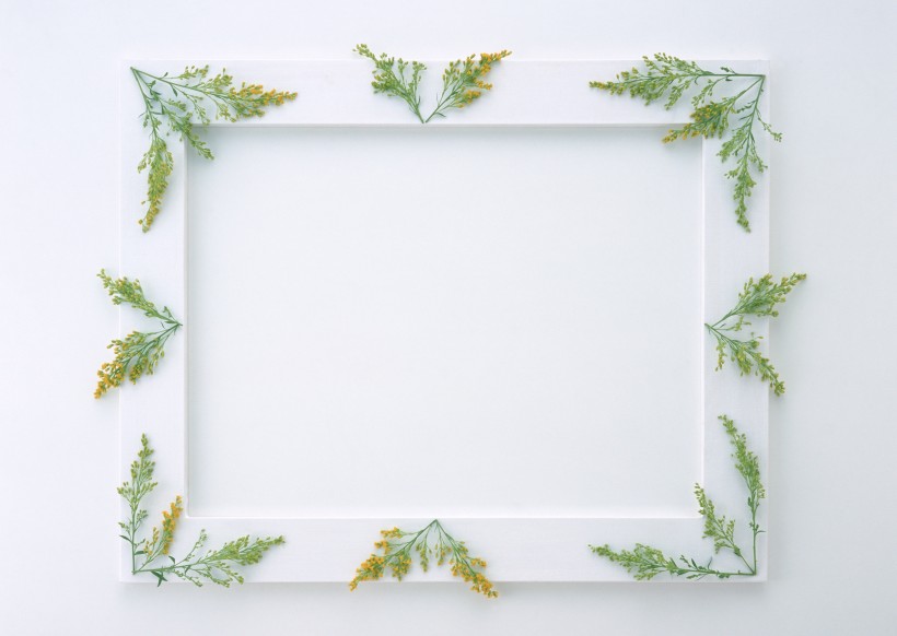 白色画框和绿树叶图片