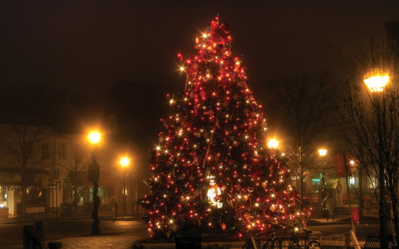 璀璨圣诞树图片