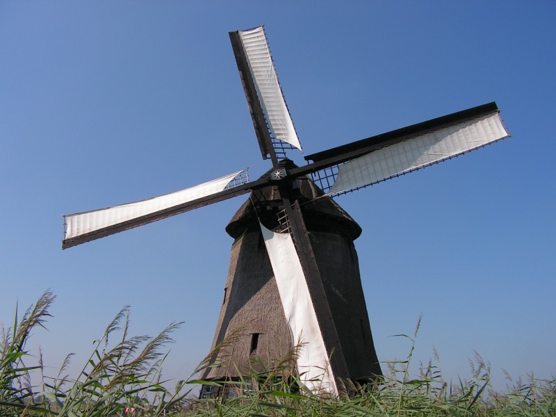 高大的荷兰风车图片