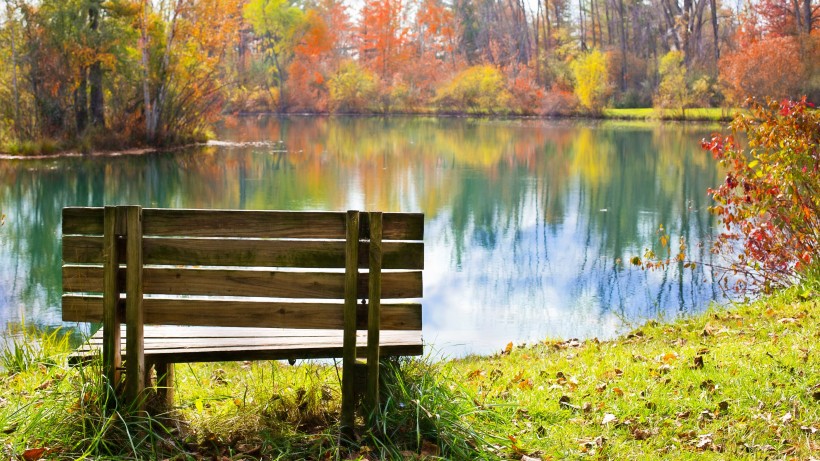 秋天公园里的长椅图片