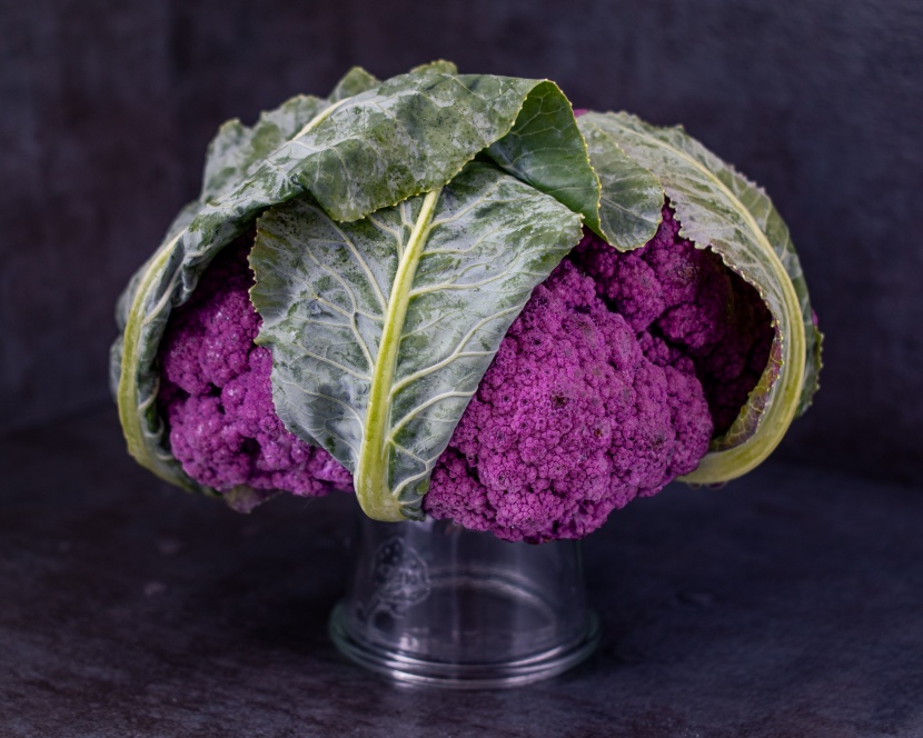美丽的紫色花椰菜图片