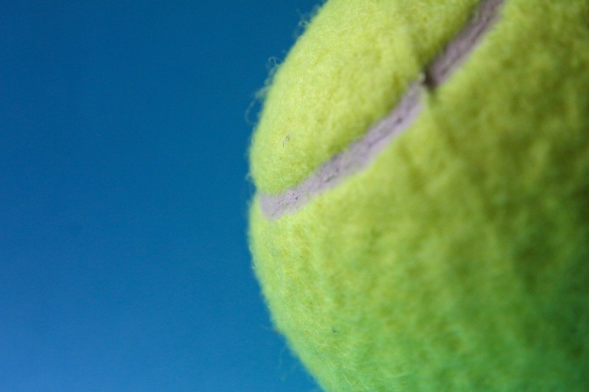 黄色的网球图片