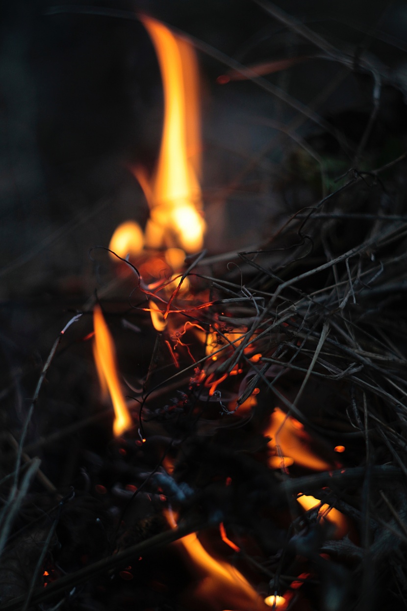 用木材点然的火焰图片