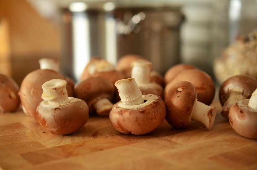 肉质肥厚的香菇图片