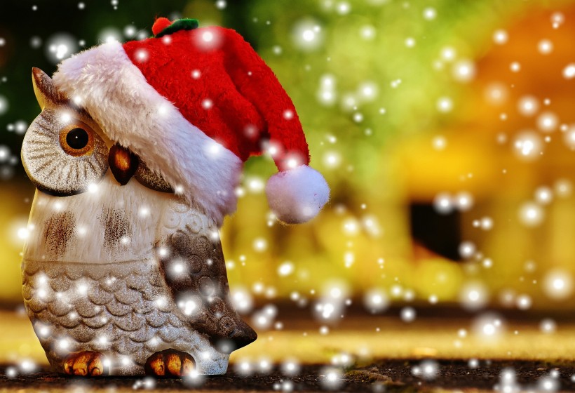 圣诞节装饰品猫头鹰图片