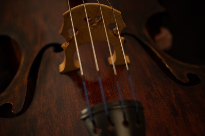 棕色的小提琴图片