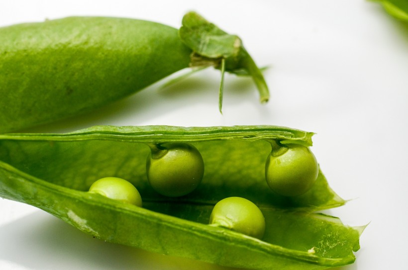 绿色新鲜营养的豌豆图片