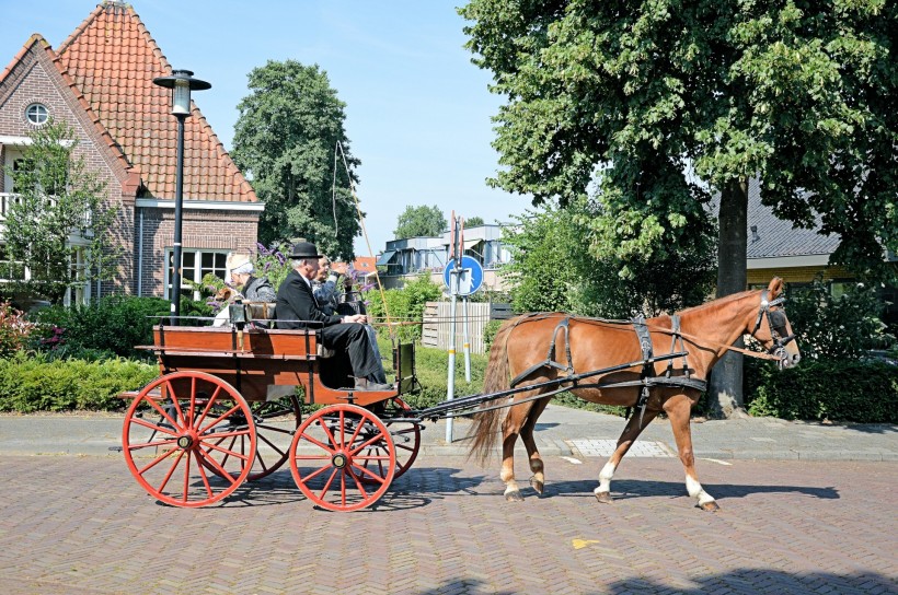 荷兰传统马车图片