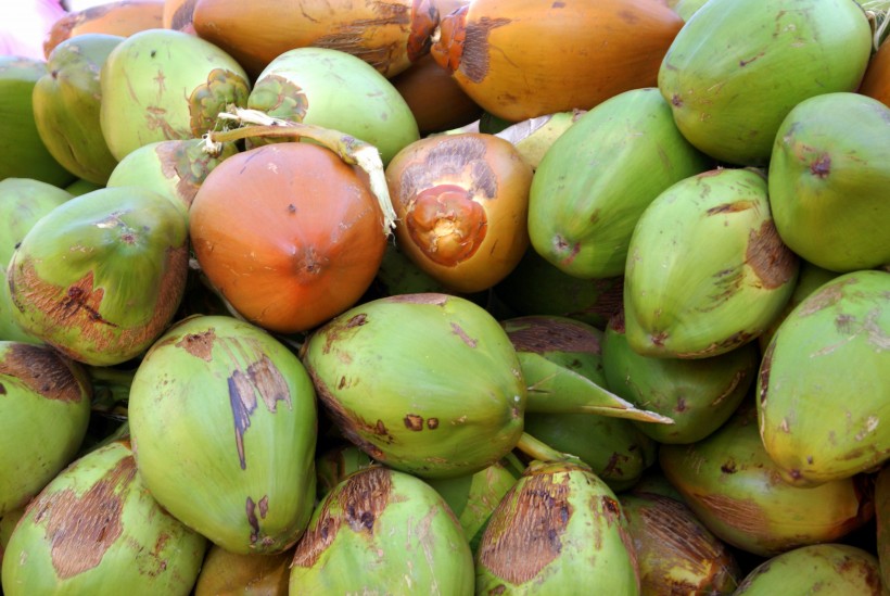 多汁可口又营养的绿色椰子图片