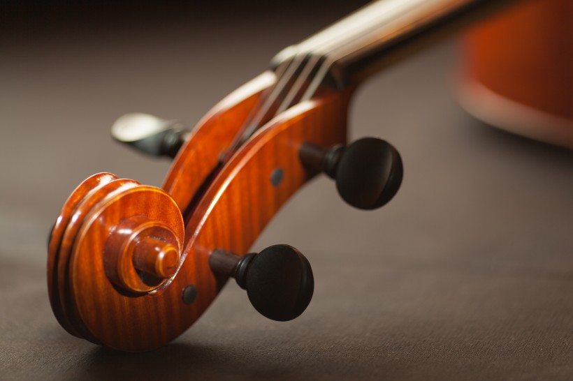 典雅的小提琴图片