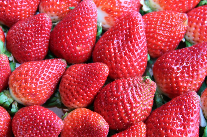 鲜红酸甜的草莓图片