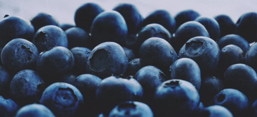 抗氧化功效强大的蓝莓图片