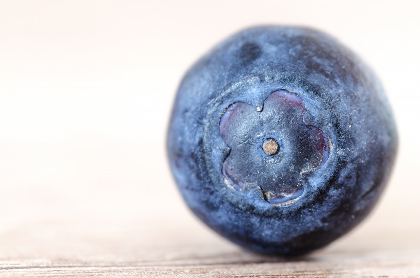 抗氧化功效强大的蓝莓图片