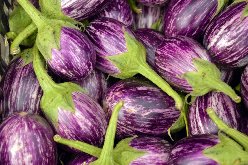 营养丰富的紫皮茄子图片