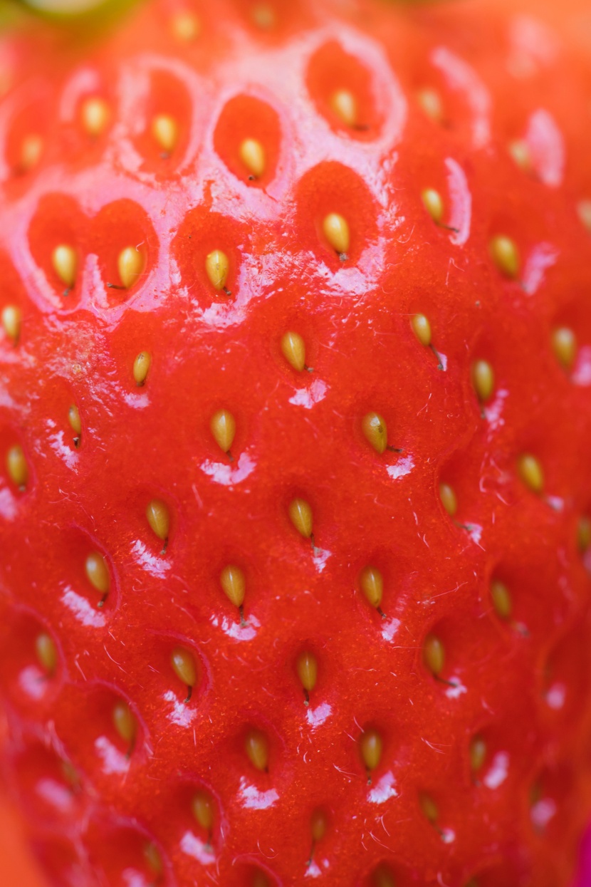 酸甜诱人的草莓图片