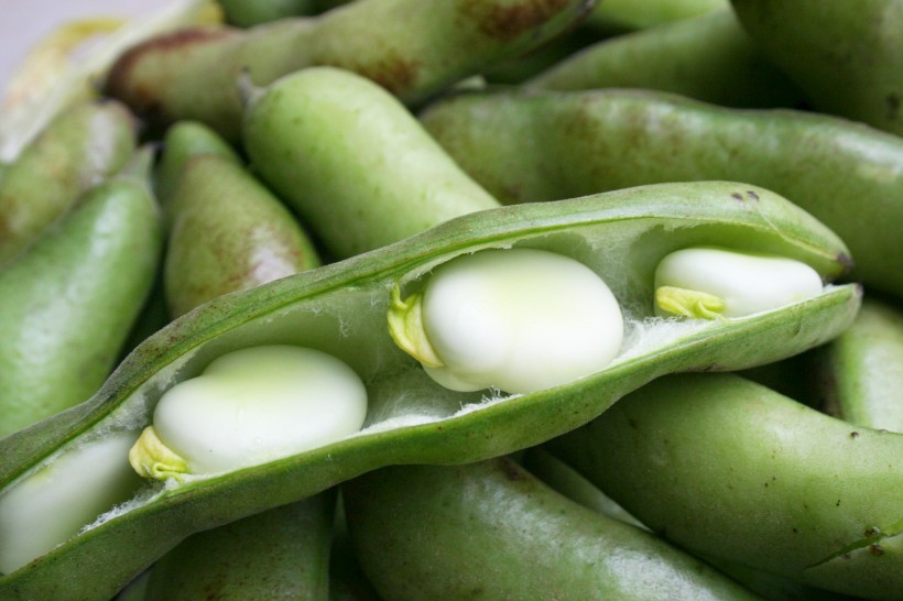 绿色新鲜营养的豌豆图片