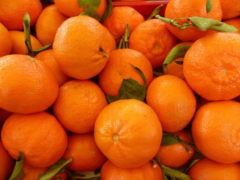 新鲜美味的橘子图片
