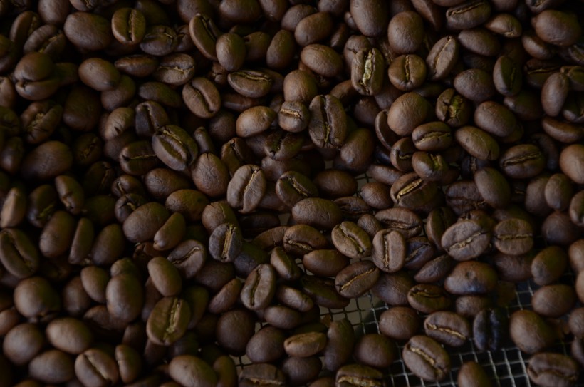 香醇饱满的咖啡豆图片