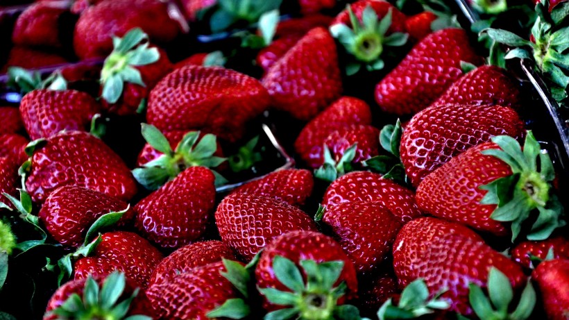 酸甜多汁的红色草莓图片