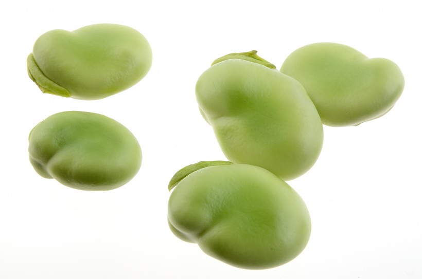 绿色生的蚕豆图片