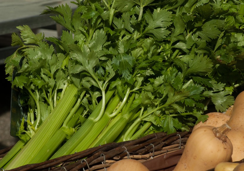 新鲜绿色粗纤维的芹菜图片