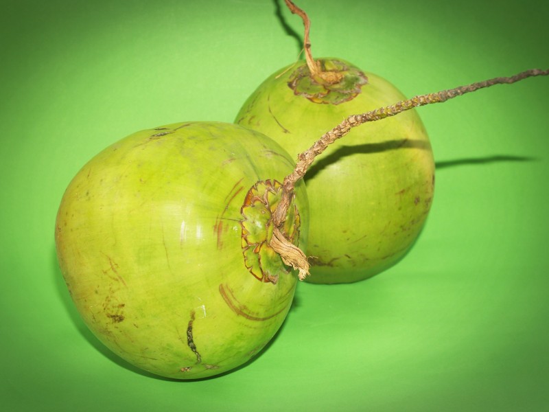 多汁可口又营养的绿色椰子图片