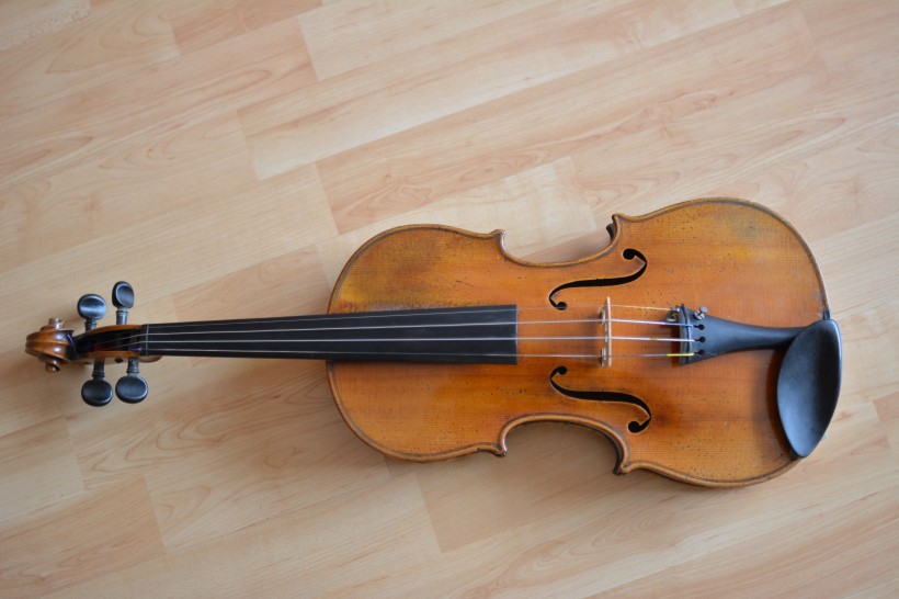 优雅的小提琴图片