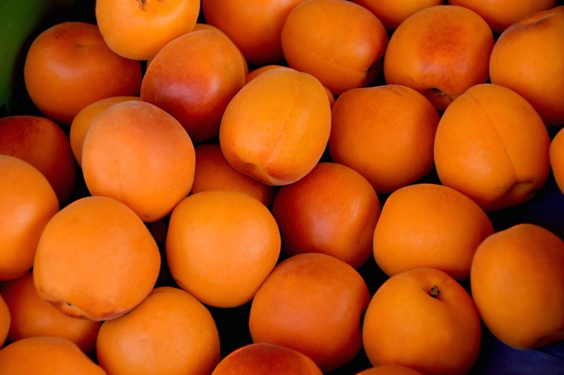 香甜好吃的杏图片