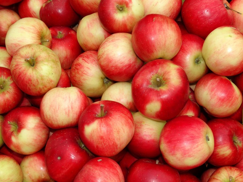 红彤彤营养丰富的苹果图片