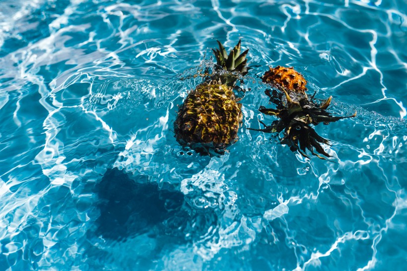 在游泳池的菠萝图片