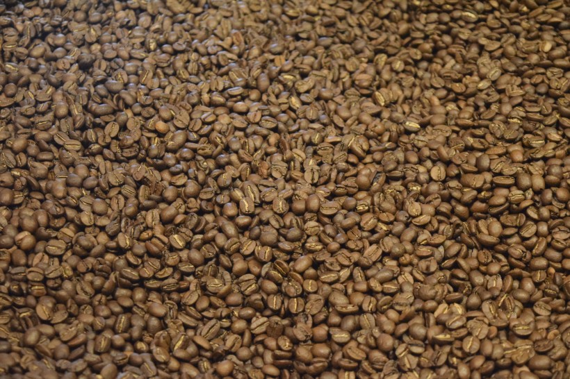 颗粒饱满的咖啡豆图片