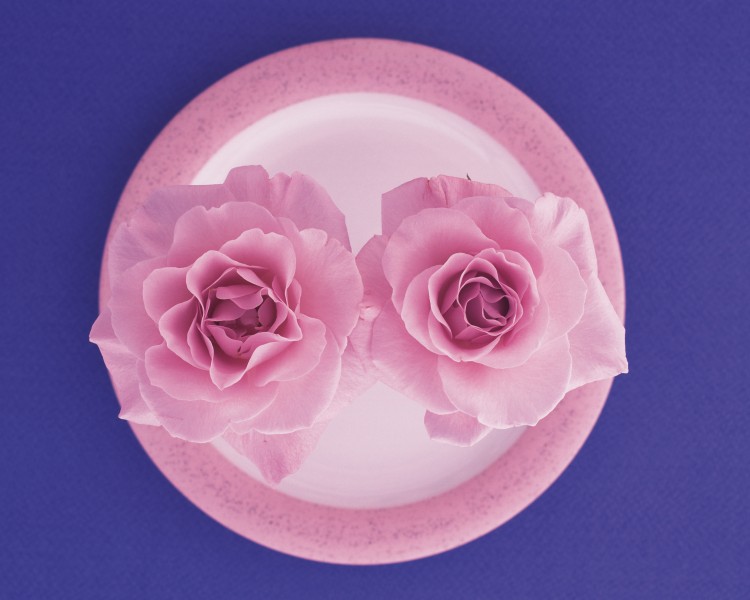 用花卉丝带装饰盘子的艺术摄影图片