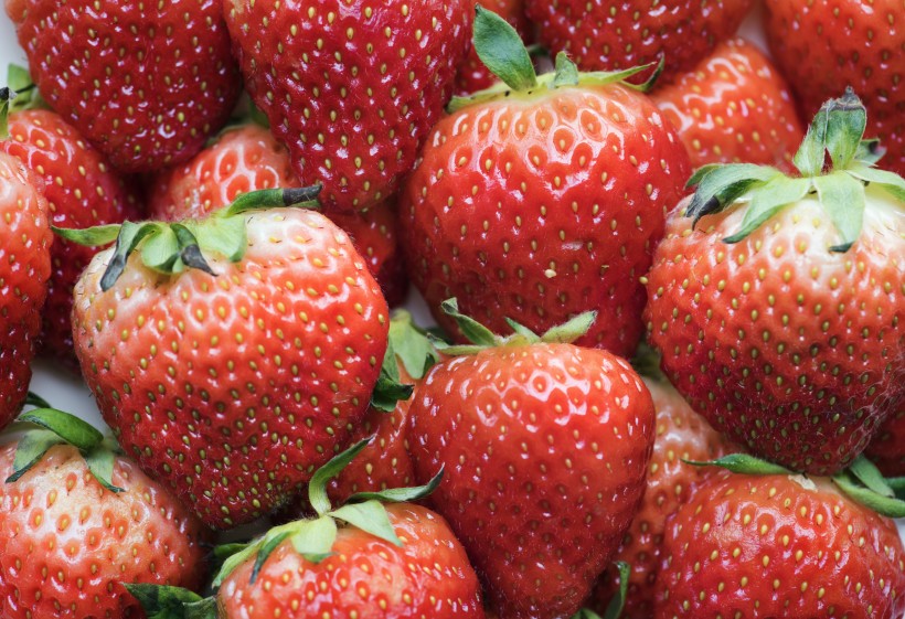 酸甜可口的鲜红草莓图片