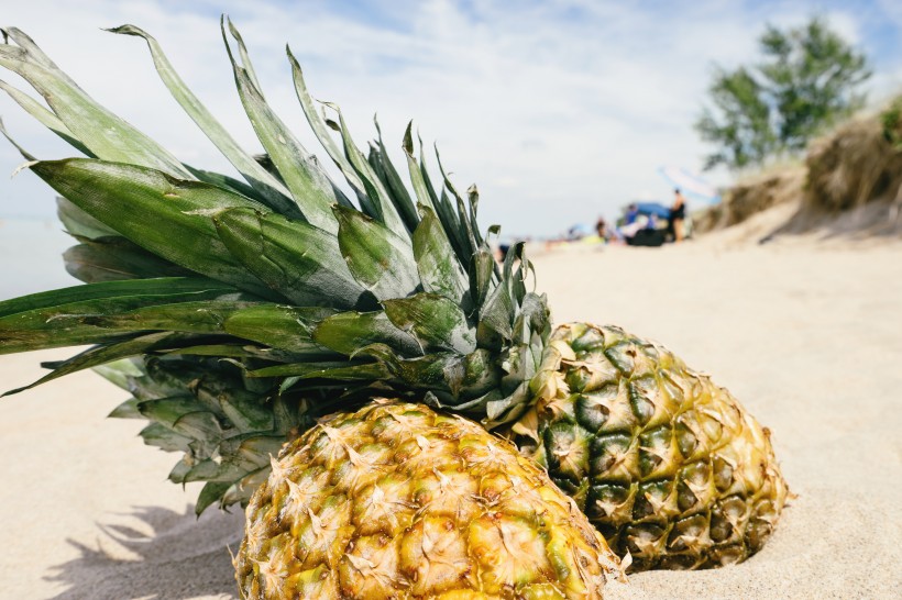 沙滩上的菠萝图片