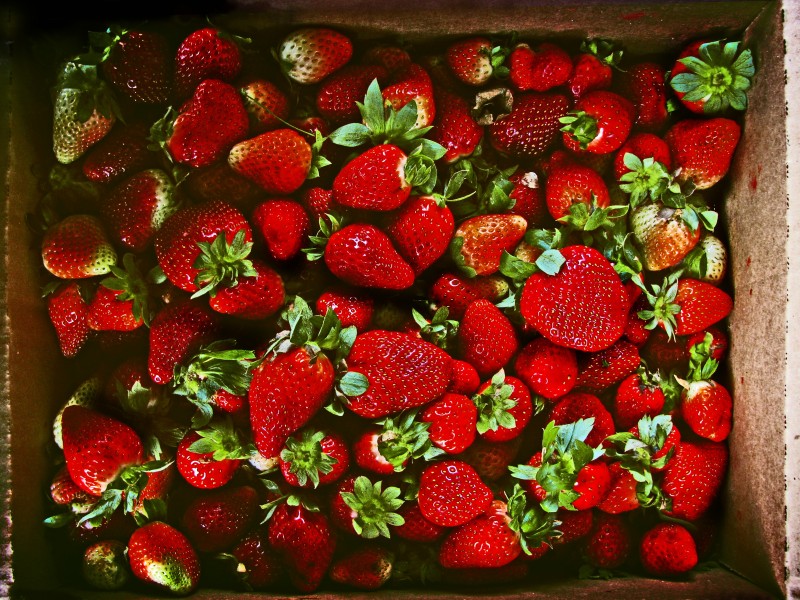 可口的草莓图片