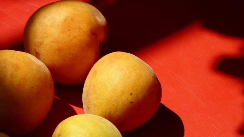 黄澄澄的杏子图片