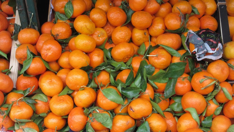 新鲜好看的橘子图片