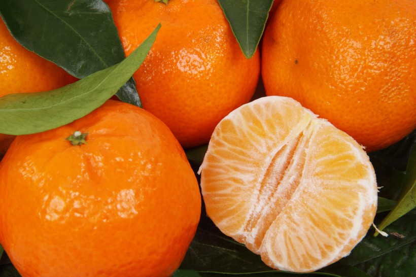 酸甜可口剥开的橘子图片