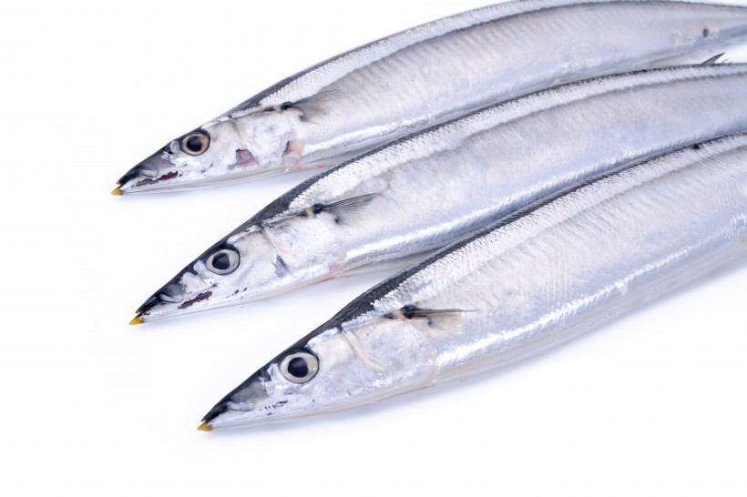 银色日式秋刀鱼图片